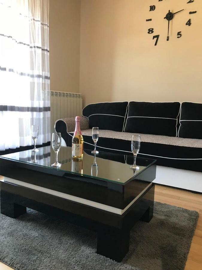 Dragisic Kalman J15,d8 Apartment *